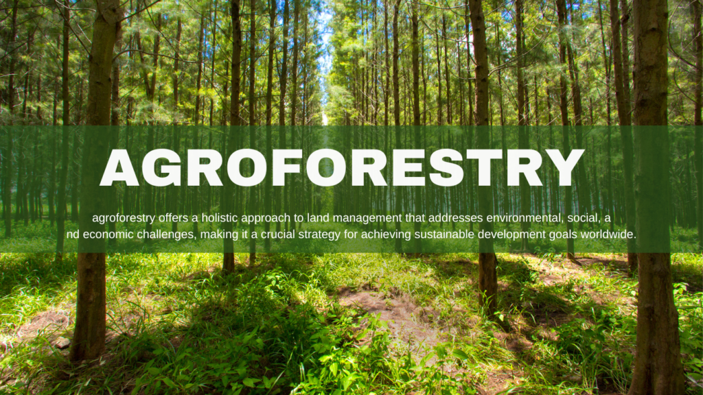 agro forestry