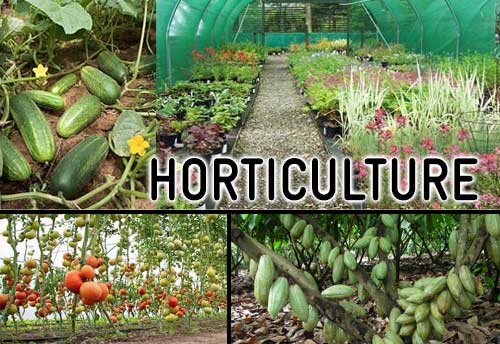 horticulture 16 7 2021